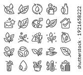 plants line icons. mint leaf ... | Shutterstock .eps vector #1921658222