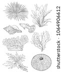 Fish  Seaweed  Sea Urchin ...