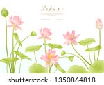 Lotus Flowers.  Template For...