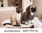 Pug And Siamese Cat At Table In ...