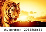 Small photo of Tiger and Mt. Fuji. New year concept of Japan. New year's card 2022.