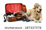 Cute Labrador With Suitcase...
