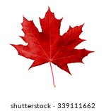 Red Maple Leaf  Isolated On...