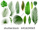 Different tropical leaves on...