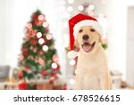 Cute Puppy In Santa Hat And...