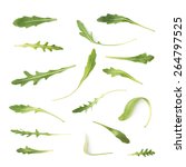 Small photo of Multiple signle eruca sativa rucola arugula fresh green rocket salad leaves set, isolated over the white background