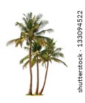 Three coconut palm trees...