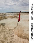 Small photo of Quicksand in the Indian Ocean. Galu - Kinondo beach, Kenya. It is dangerous to walk during the low tide up to 100 meters away from beach, as areas with quicksand appear.
