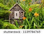 Insect House   Hotel In A...