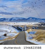 Large flock of wild birds flies over the empty road in the picturesque Montana countryside. Scenic view of birds flying over an empty asphalt freeway crossing the beautiful prairie in United States.