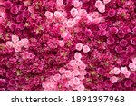 Backdrop of red and pink roses,Flowers wall background,Wedding decoration