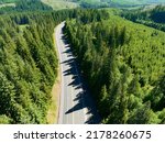A road winds through an Oregon forest. Over 85% of Oregon