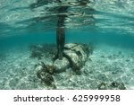 Small photo of A Japanese Zero fighter, shot down in late March 1944 during Operation Desecrate One, lies on the shallow seafloor in the Republic of Palau. Heavy casualties occurred in Palau during World War II.