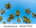 Summer nature scene. coconut palm trees with blue sky 