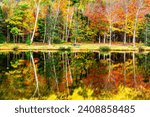 Small photo of Fall foliage reflects in Willey House Dam pond, Crawford Notch State Park, New Hampshire.