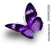 Beautiful purple butterfly...