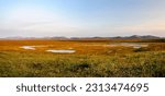 Usa, alaska, noatak national preserve, noatak river. wetlands on the arctic tundra along the noatak river.
