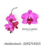 Orchid flowers creative layout...