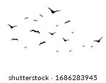 Vector Silhouette Of Birds On...