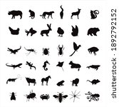 collection of vector silhouette ... | Shutterstock .eps vector #1892792152