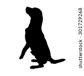 vector silhouette of a dog on a ... | Shutterstock .eps vector #301729268
