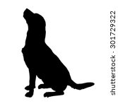 vector silhouette of a dog on a ... | Shutterstock .eps vector #301729322