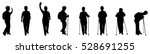 vector illustration silhouettes ... | Shutterstock .eps vector #528691255