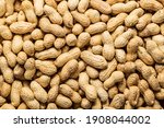 Dried Peanuts. Tasty Groundnuts....
