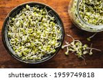 Sprouted green mung beans. Mung sprouts in bowl on wooden table. Top view.