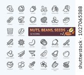 Nuts  Seeds And Beans Elements  ...