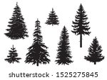 collection of pine tree... | Shutterstock .eps vector #1525275845