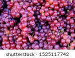 Small photo of Healthy fruits Red wine grapes background/ dark grapes/ blue grapes/wine grapes,Red wine grapes background/dark grapes,blue grapes,Red Grape in a supermarket local market bunch of grapes ready to eat
