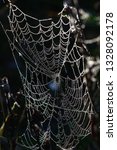 the spidery web in drops of dew ... | Shutterstock . vector #1328092178