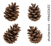 Set of cones of coniferous...