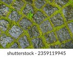 Small photo of closeup wet stony road with grass tush through, old brick work background