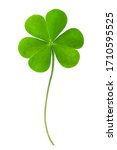 Green Clover Leaf Isolated On...