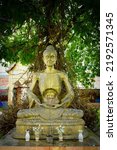 Small photo of A statue representing the Buddha's endeavor by fasting until he was thin and sat under a cannonball tree.