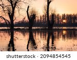Winter Flood At The Elbe River...