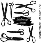 Set Of 7 Vintage Scissors. Hand ...