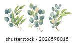 eucalyptus leaves bouquet in a... | Shutterstock .eps vector #2026598015