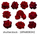 Collage Of Red Ten Roses...