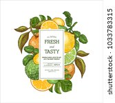 citrus collection design... | Shutterstock .eps vector #1033783315