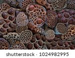 Dried Lotus Pods Create A...