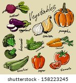hand drawn fresh color... | Shutterstock .eps vector #158223245