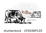 cow stands in a village next to ... | Shutterstock .eps vector #1920389135