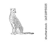 leopard hand drawn inky sketch. ...