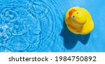 Yellow Rubber Toy Duck In A...