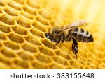 Working Bees On Honeycomb