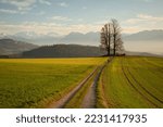Small photo of Autum trees and colorful landscape in the swiss mountains lookout. Switzerland, Bern. Europe.