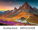 Wonderful alpine scenery with spring crocus flowers on the hill and spectacular mountains at sunset, Giau pass, Dolomites, Italy, Europe